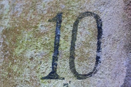 10 Courses for 1 Year